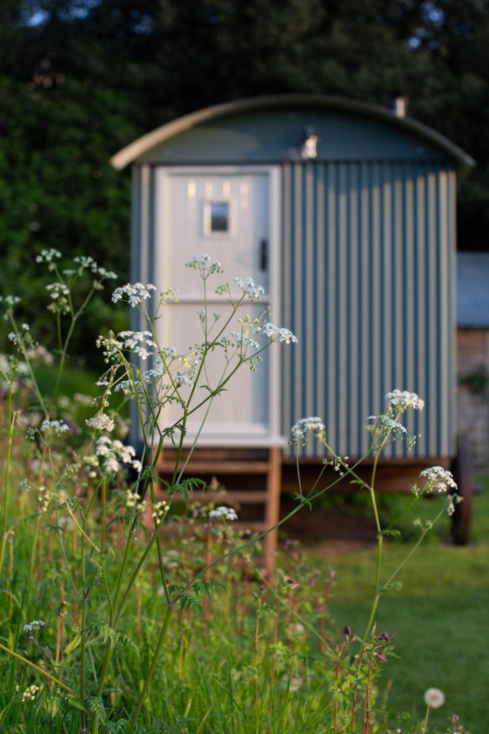 Alojamento de Turismo Selvagem Shepherd's Hut At High Gardens *